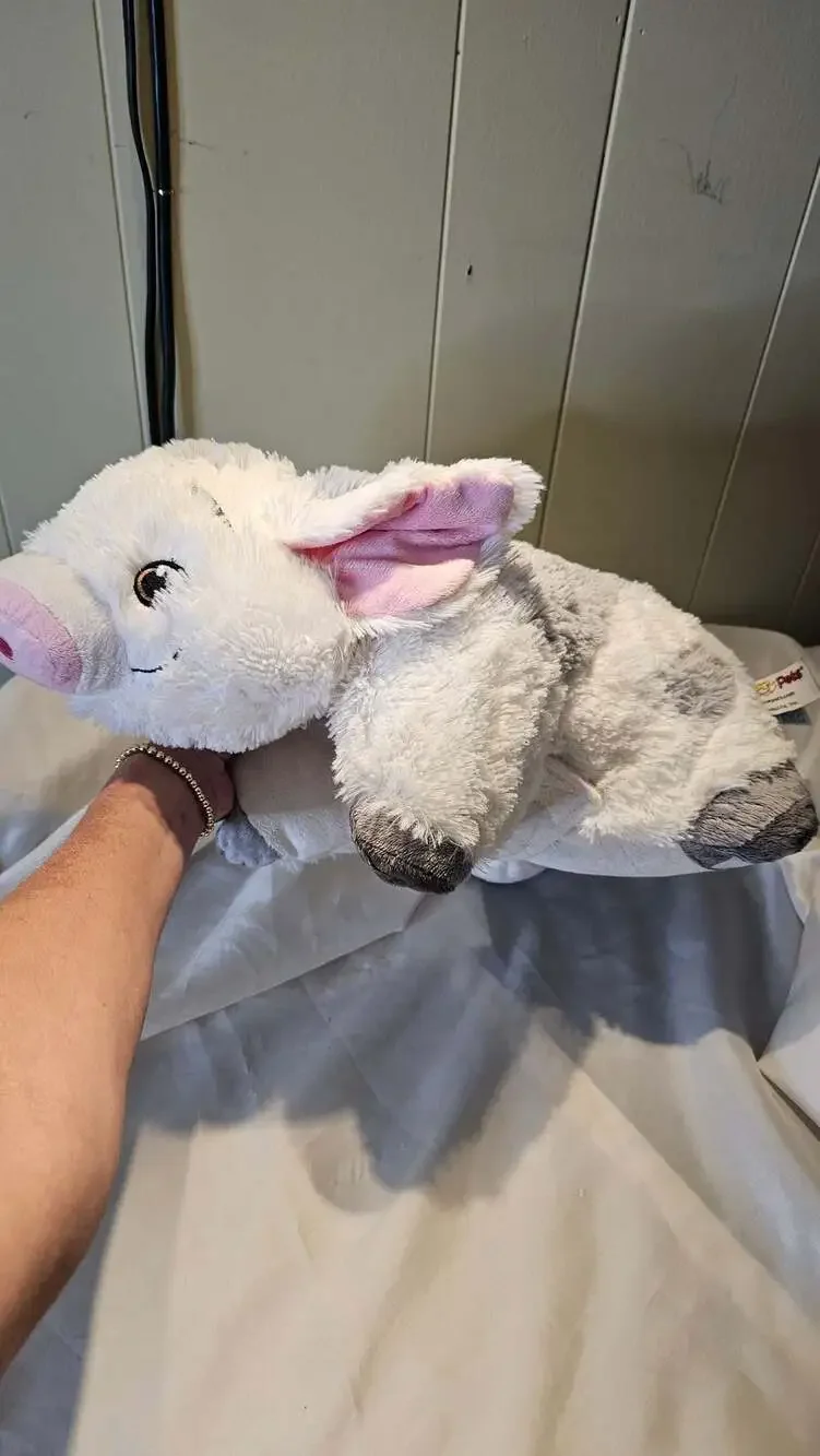 Pillow Pets Disney Pua Moana Pig Plush Pillow